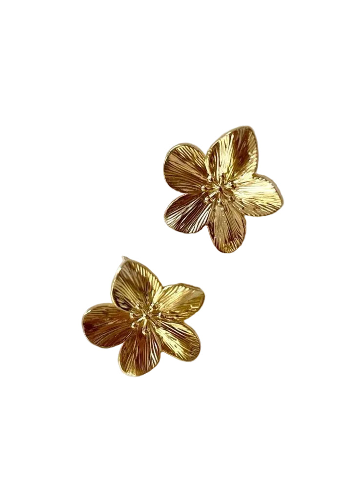Boucles Zahra