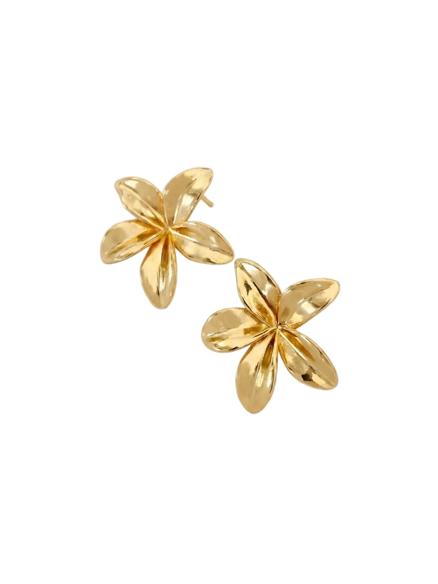 BOUCLES WARDA